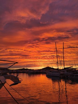 2025-11/img-20251004-wa0024